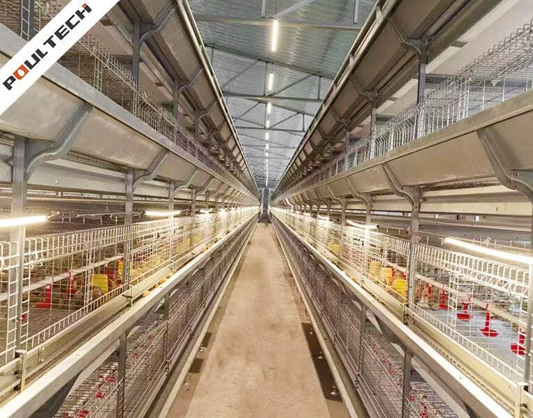 Poultry house equipped for commercial farming